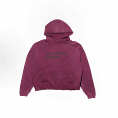 ERD's melancholic wealthy second-generation Vintage Washed Dark Red Hoodie