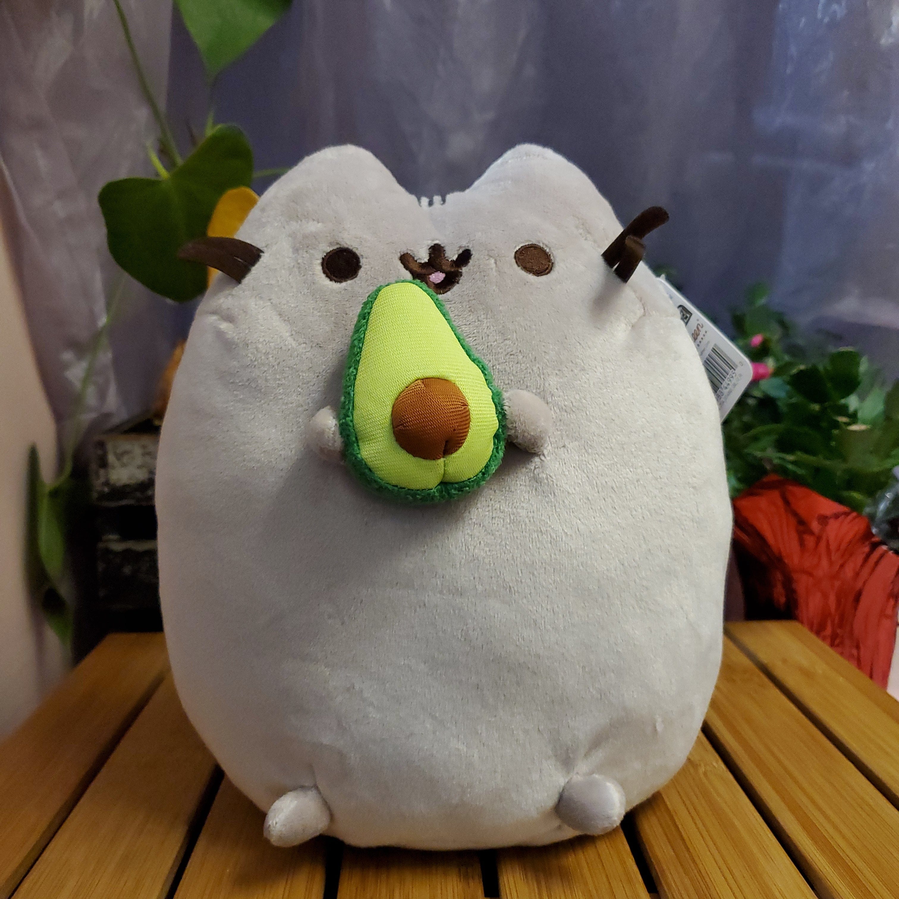 Pusheen with Avocado 10" Plush